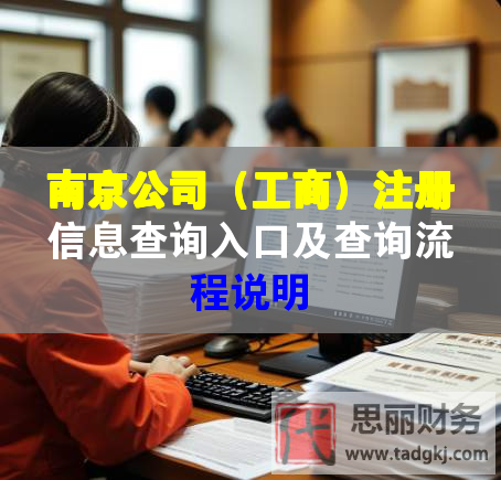 南京公司（工商）注冊信息查詢?nèi)肟诩安樵兞鞒陶f明