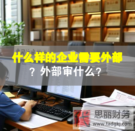 什么樣的企業(yè)需要外部？外部審什么？