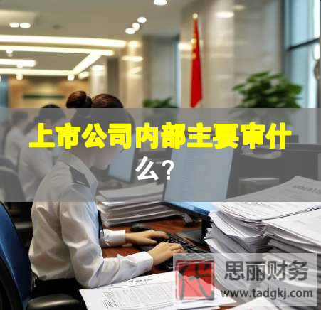 上市公司內(nèi)部主要審什么？