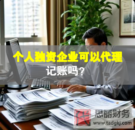 個(gè)人獨(dú)資企業(yè)可以代理記賬嗎？