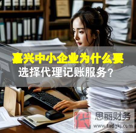 嘉興中小企業(yè)為什么要選擇代理記賬服務(wù)？