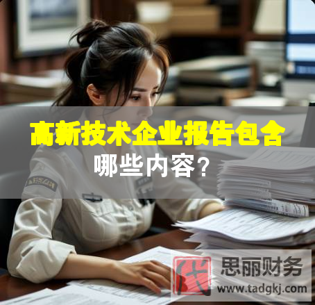 高新技術(shù)企業(yè)報(bào)告包含哪些內(nèi)容？