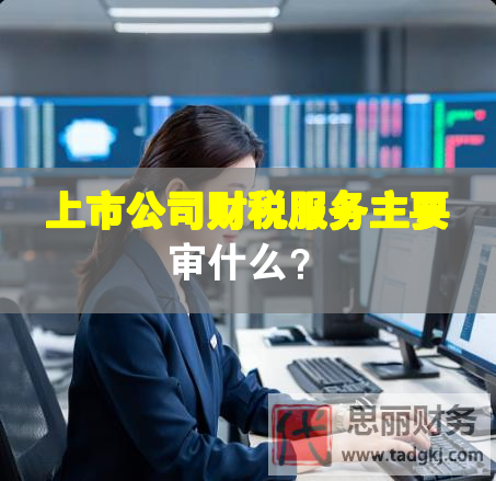 上市公司財(cái)稅服務(wù)主要審什么？