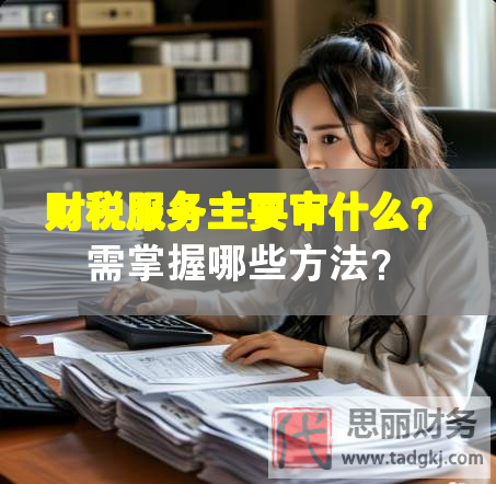 財稅服務(wù)主要審什么？需掌握哪些方法？