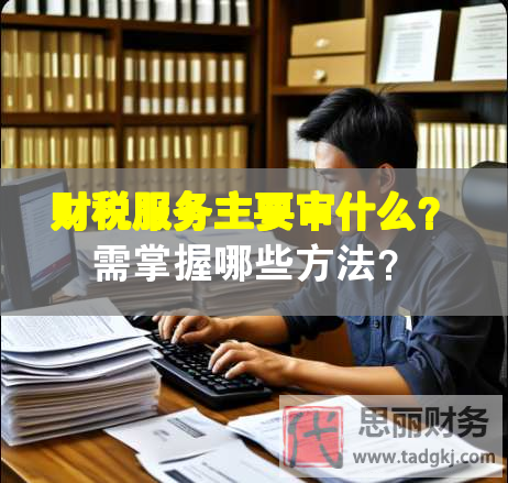 財稅服務(wù)主要審什么？需掌握哪些方法？